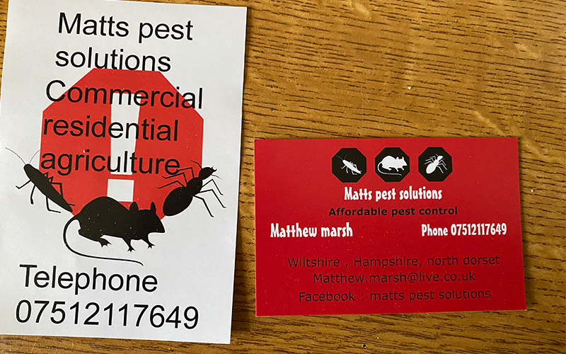 Matts Pest Solutions