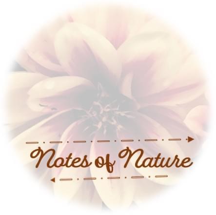Notes Of Nature